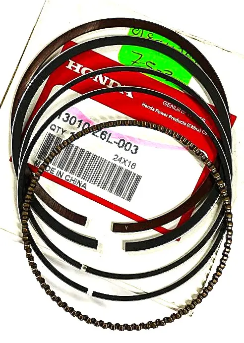 WhatsApp Image 2026-01-12 at 12.00.20 PM.webp