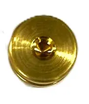 EXCENTRICA HIDROLAVADORA XJVW