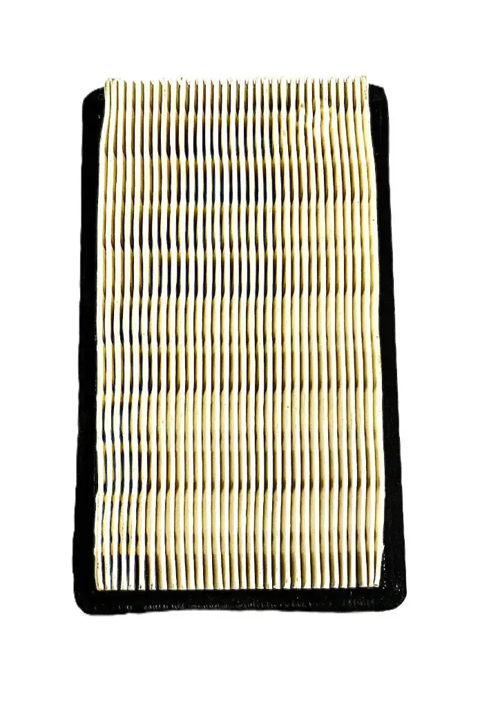 FILTRO AIRE EX40 6230