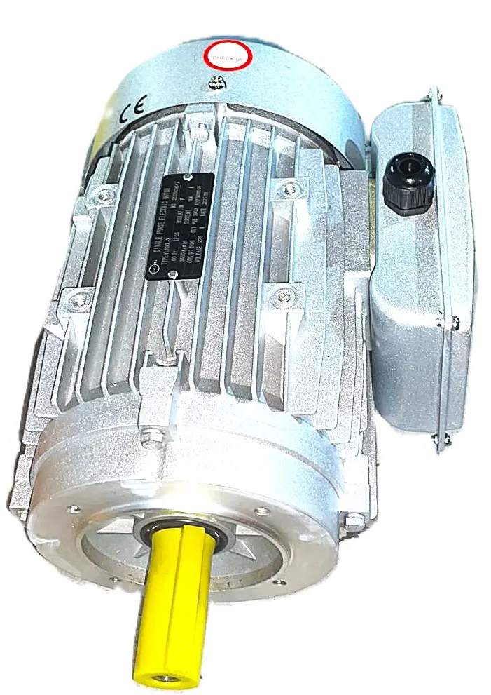 MOTOR ELECTRICO DANAU