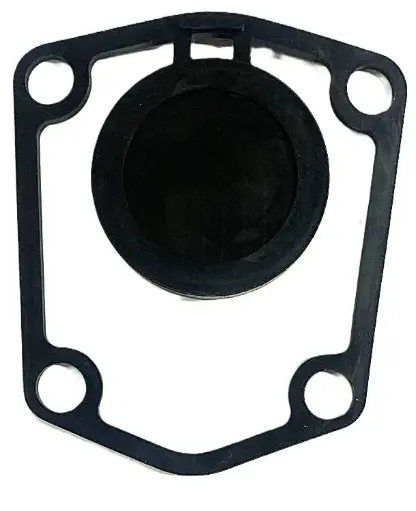 [025-01-723] EMPAQUE TOMA SUCCION CHECK 2"