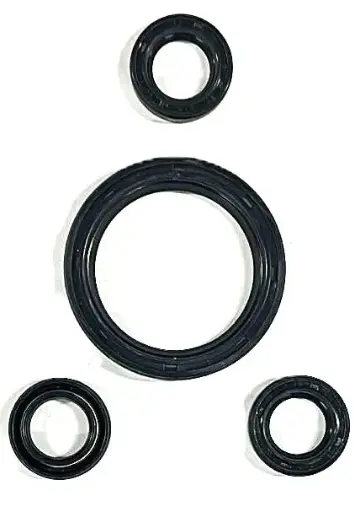 [106-01-449] KIT SELLOS ACEITE RCV