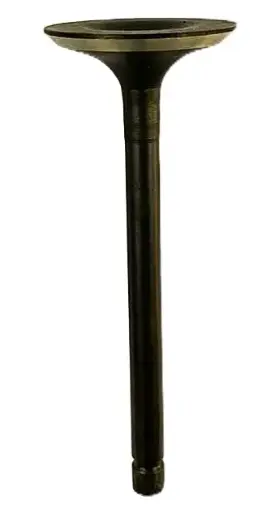 [114-01-033] VALVULA ESCAPE